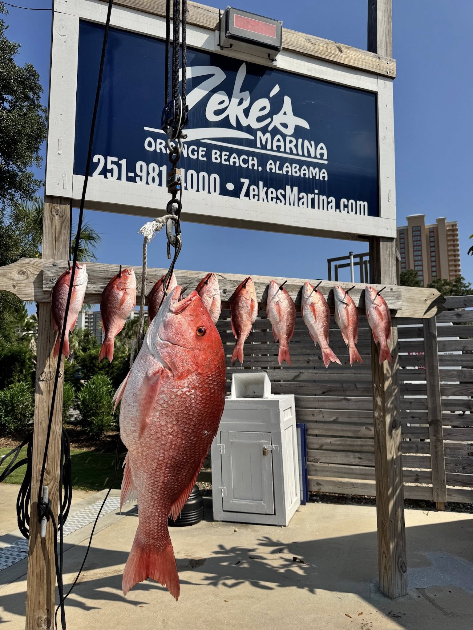 Things To Do Zeke's Restaurant